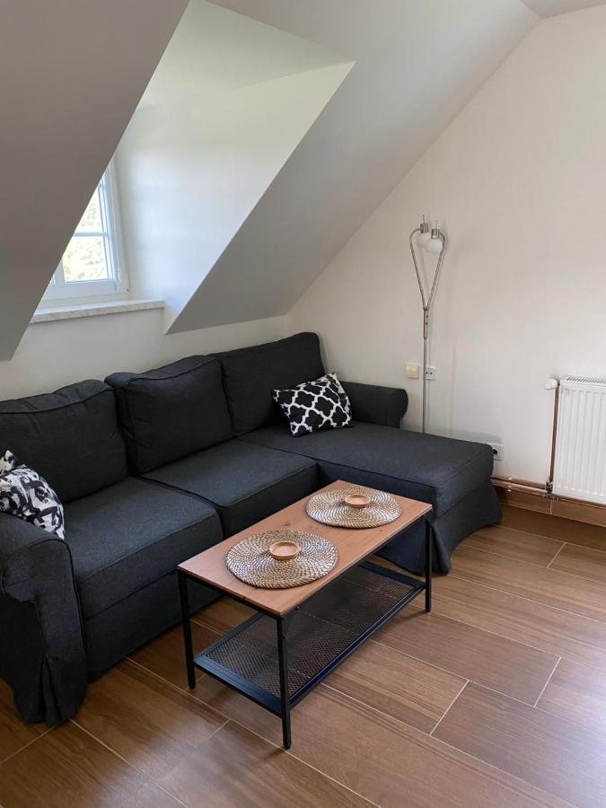 Apartman 430 Destne v Orlickych horach Eksteriør billede